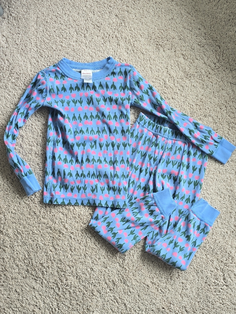Hanna Andersson Pajamas Size 110